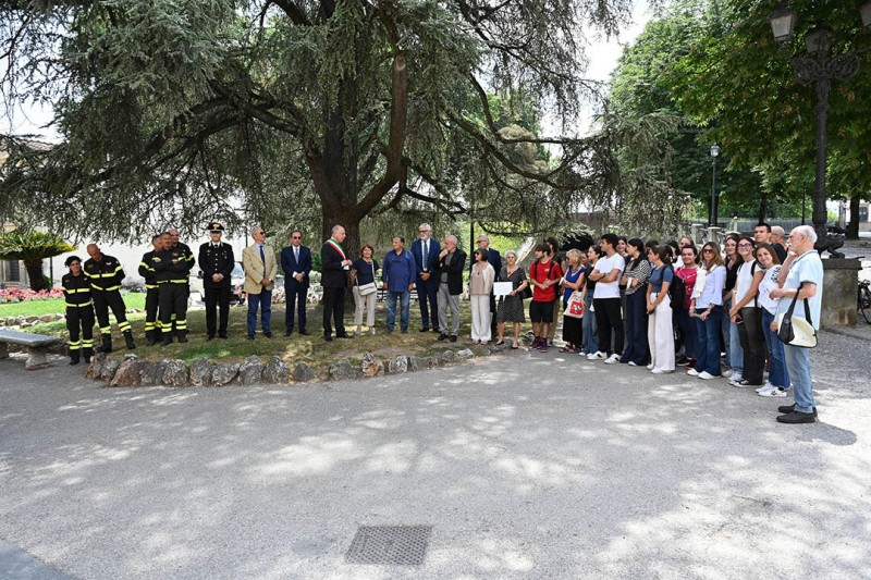 A Lucca un cedro intitolato al “giusto” Luca Attanasio, ambasciatore.
