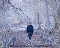 Il segreto degli alberi: domenica 23 in auditorium FBML il film con ingresso gratuito 