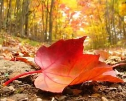 Venerdì 2 novembre chiusura della segreteria